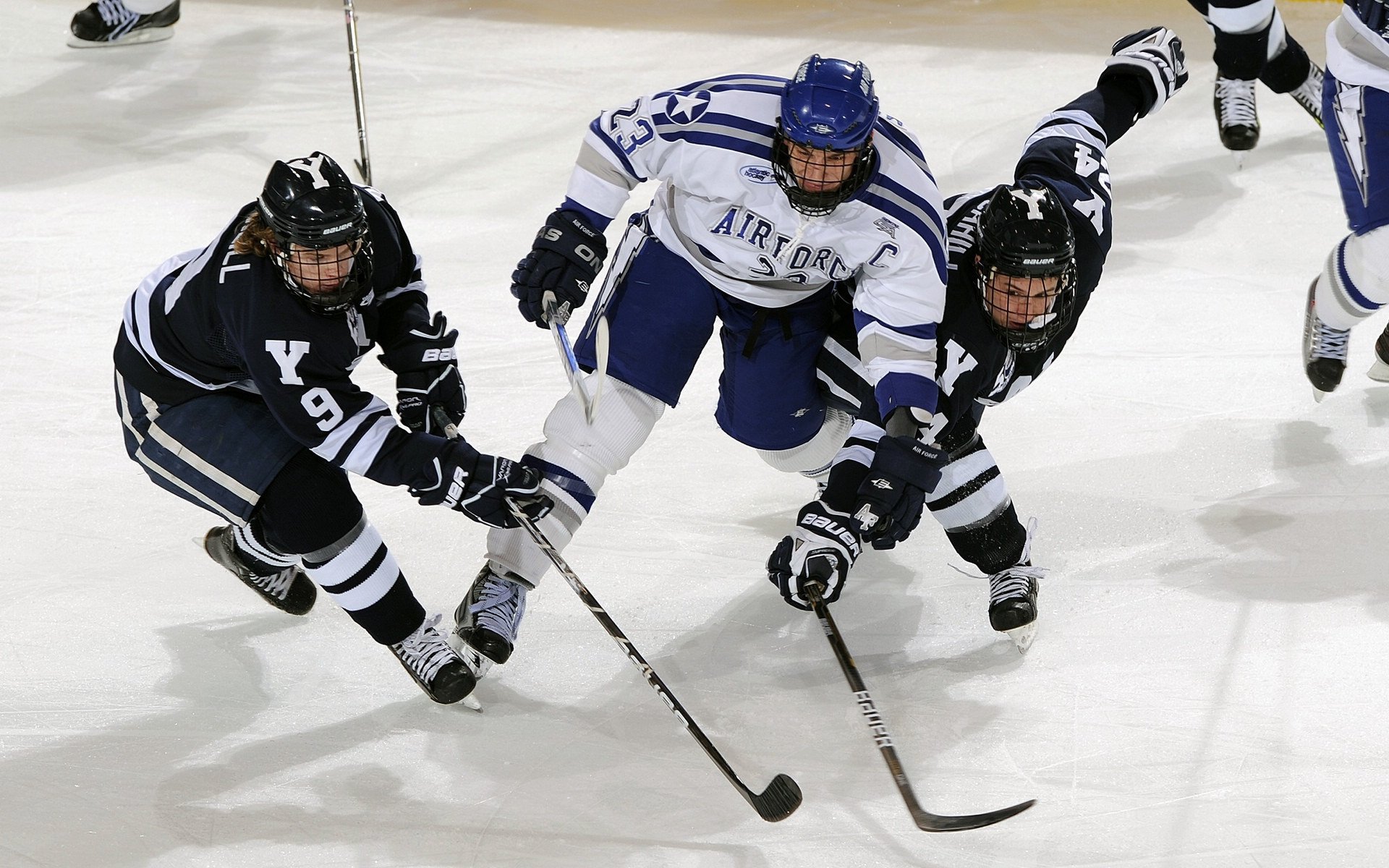 乐鱼体育App下载-高职院校体育人才培养目标与产业需求匹配分析，我国体育人才的培养模式